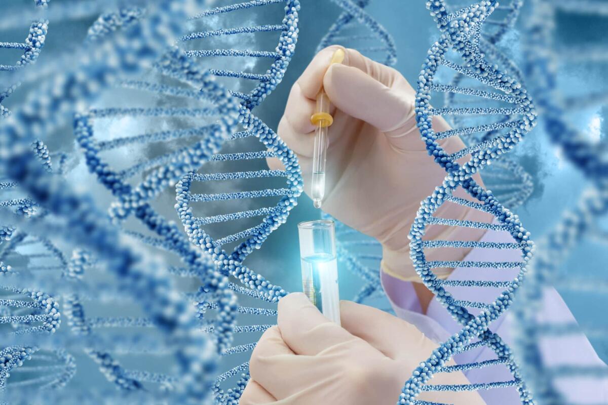 Completato il più grande atlante delle mutazioni genetiche umane - DNA research with a sample. Hand with a test tube on a DNA background.