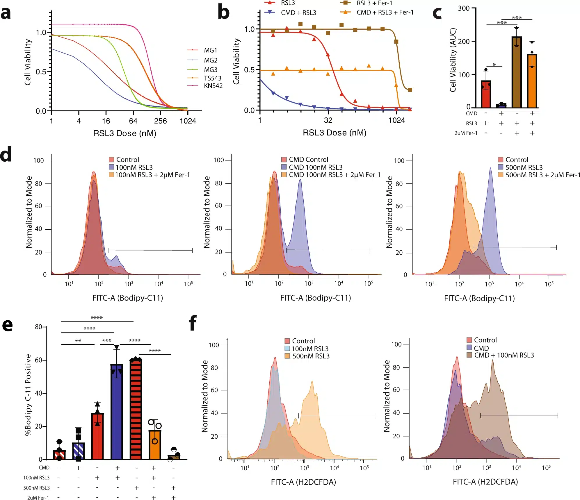 La privazione di cisteina e metionina sensibilizza il glioblastoma alla ferroptosi indotta da RSL3 - Credits: Nature Communications