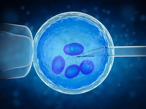 Inseminazione artificiale