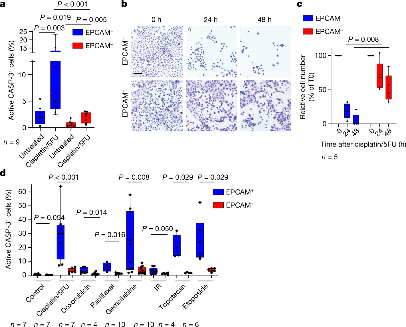L'EMT è associato alla resistenza intrinseca alla chemioterapia nelle cellule squamose di carcinoma - Credits: Nature
