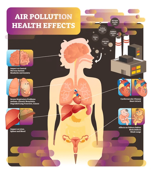 Air Pollution effects
