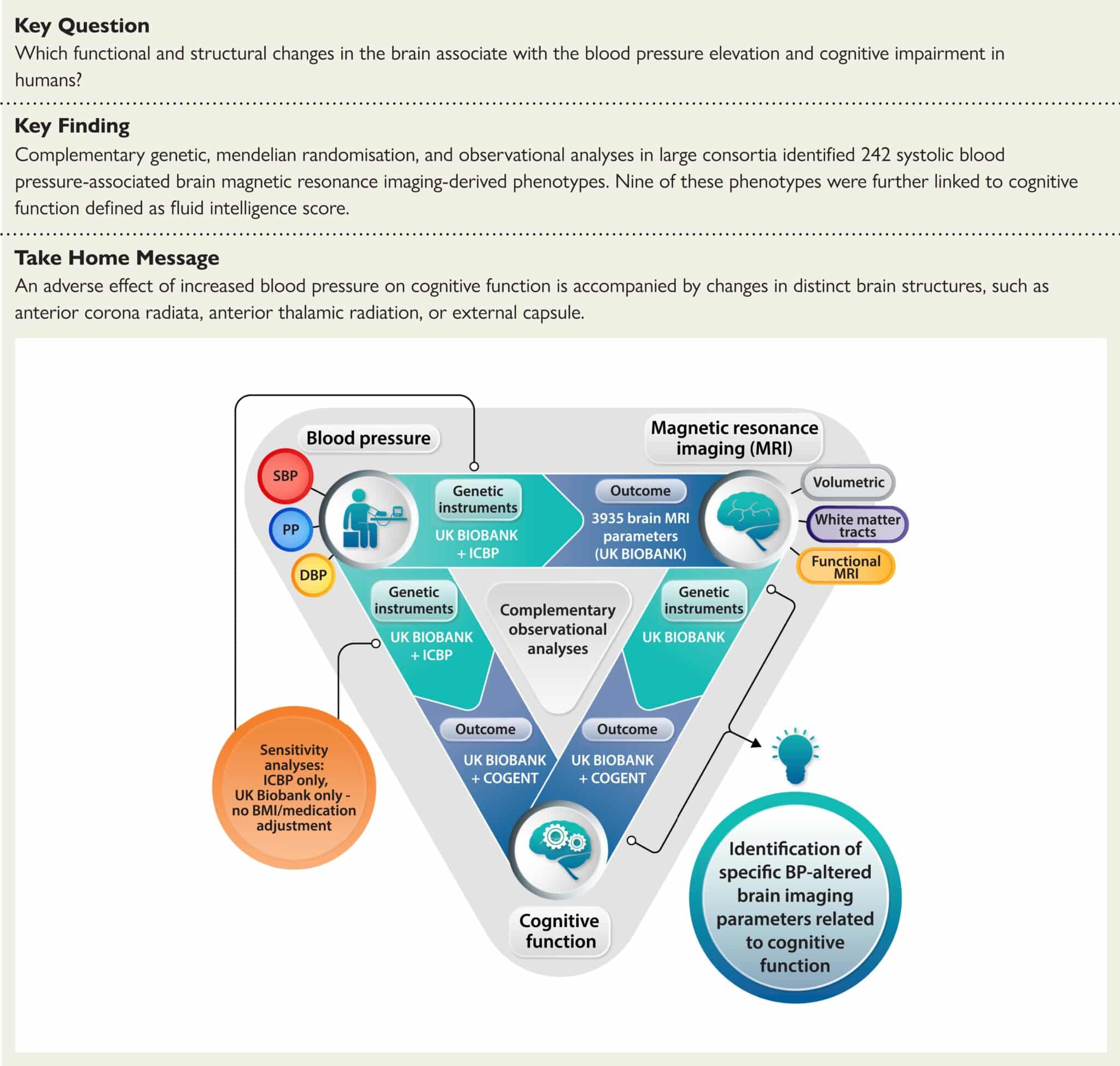 Riassunto grafico dello studio in questione - Credits: European Heart Journal