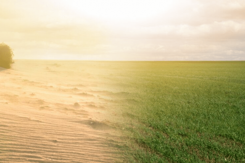 Trasformazione di deserti in terreni fertili. (Credits: Desert Control)