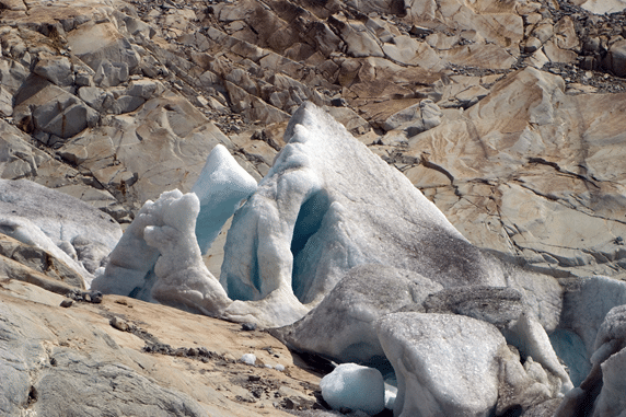 Glacier grafting