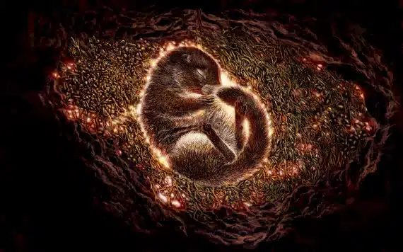 Credits - Government of Yukon | Artist Julius Csotonyi /Una ricostruzione artistica dello scoiattolo di 30.000 anni fa