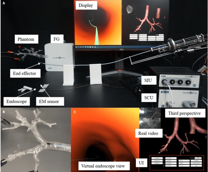 Sperimentazioni di intervento assistito con il nuovo prototipo di broncoscopio robotizzato  - Credits: Cyborg and Bionic Systems