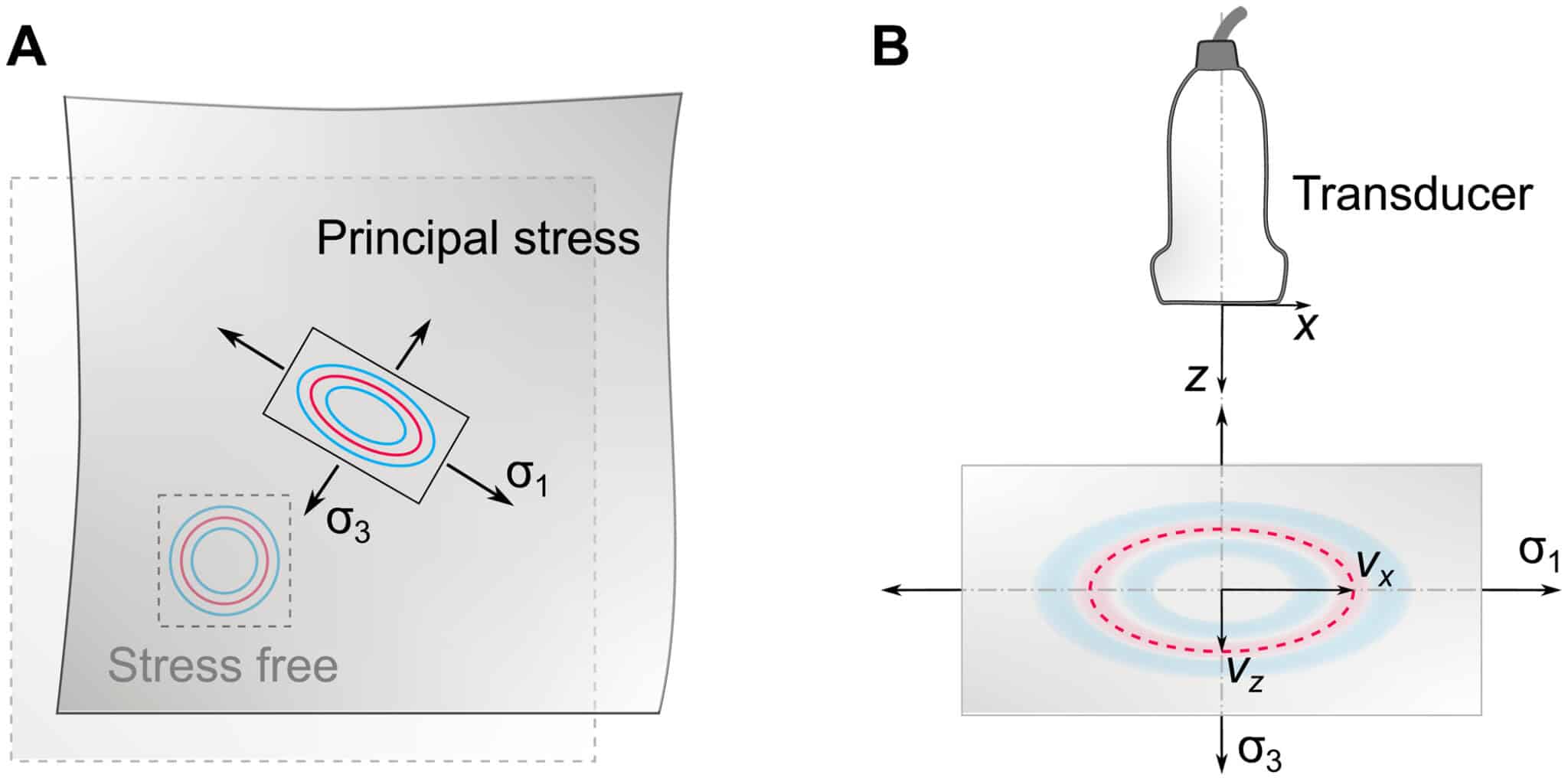 Principio di imaging acostoelastico delle sollecitazioni - Credits: Science Advances