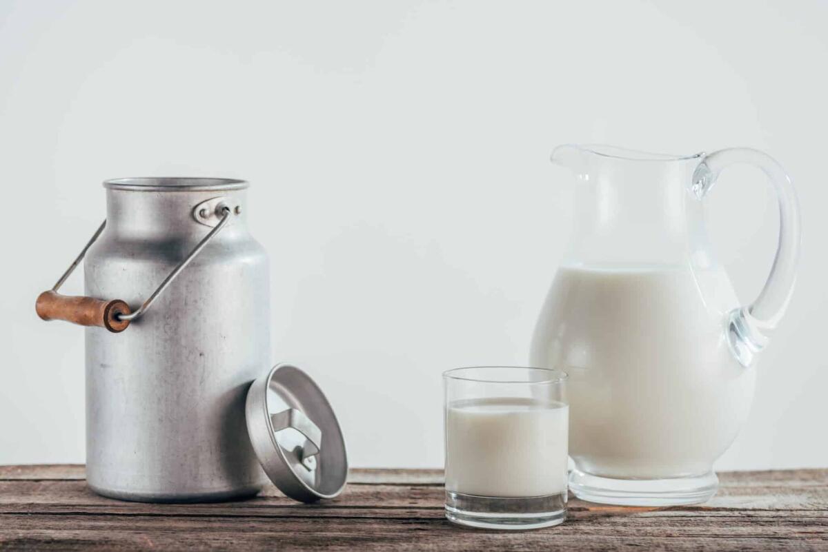 Latte sintetico: cos'è, come viene prodotto, sostenibilità - 