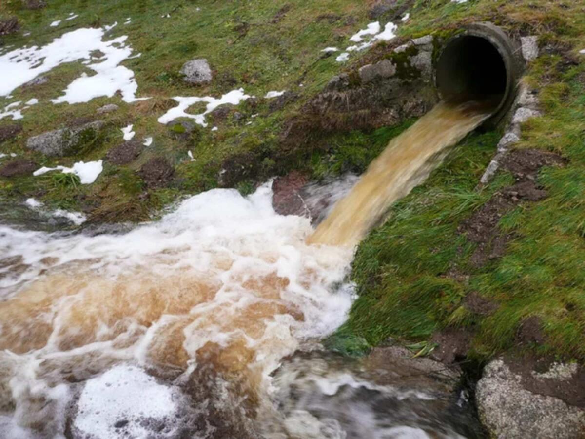 PFAS in Lombardia, contaminate le acque potabili - 