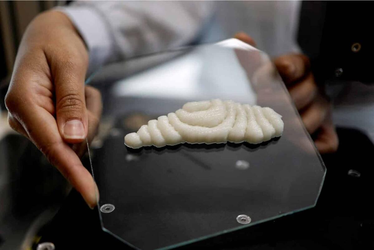 Israele: primo filetto di pesce stampato in 3D - 