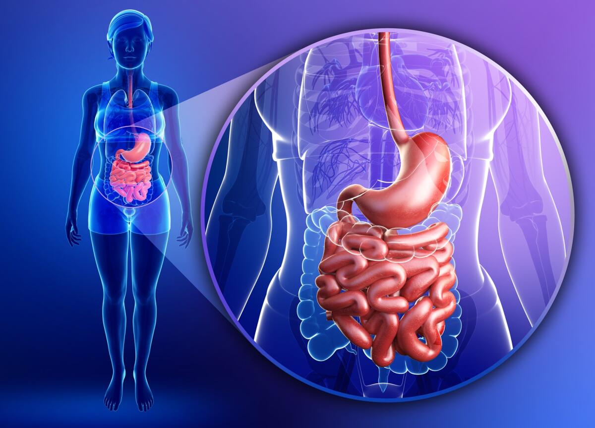 CapScan: nuova capsula raccoglie dati sulla digestione - apparato digerente