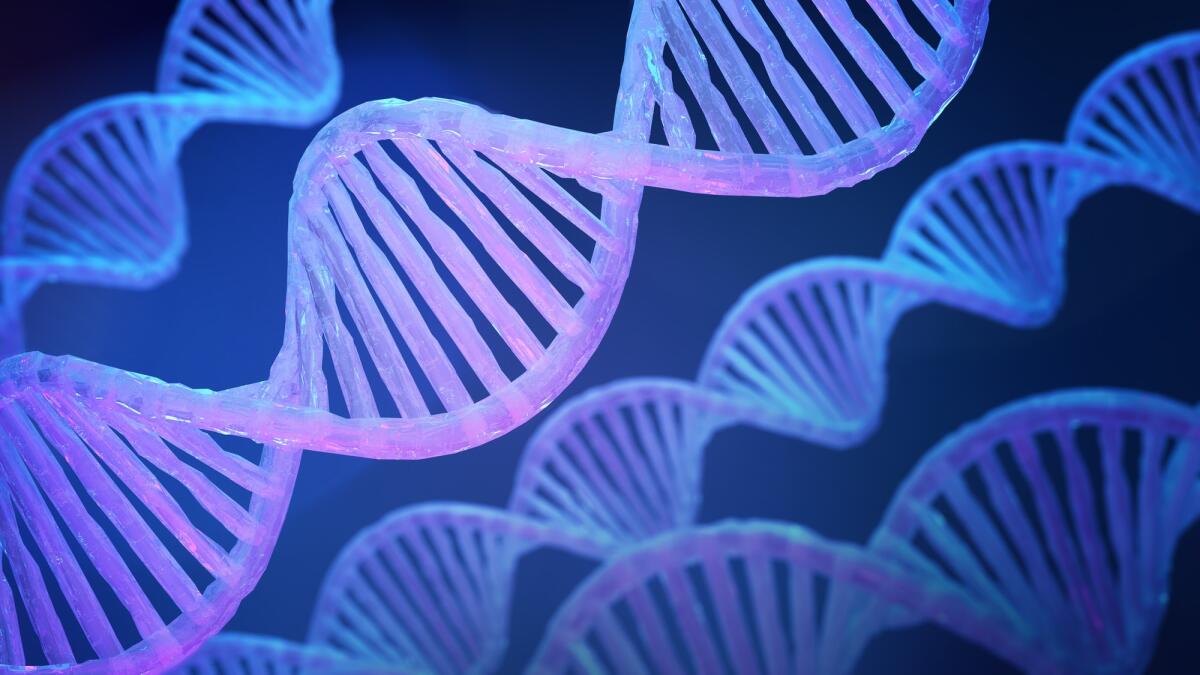 Pangenoma: nuova visione più inclusiva del genoma umano - Blue DNA structure of blue light on dark background 3D illustration render