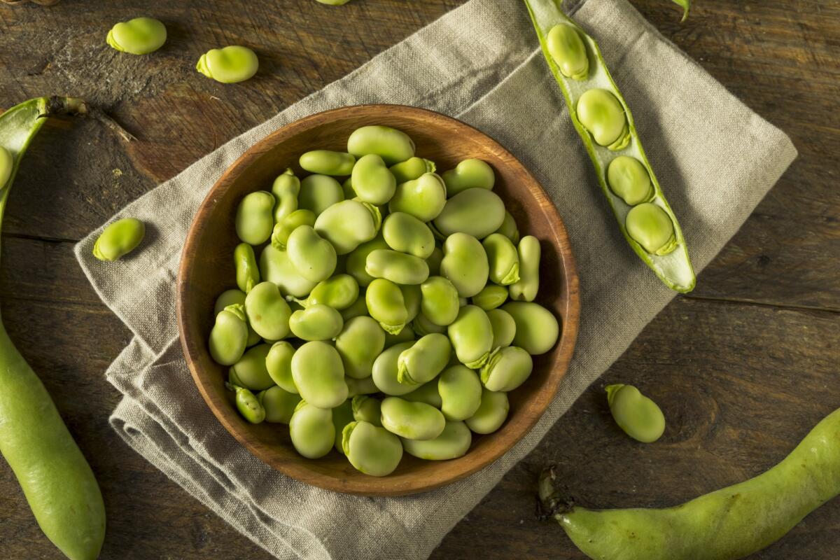 Favismo: cos’è, sintomi, cibi e farmaci da evitare - Raw Organic Fresh Green Fava Beans REady to Cook With