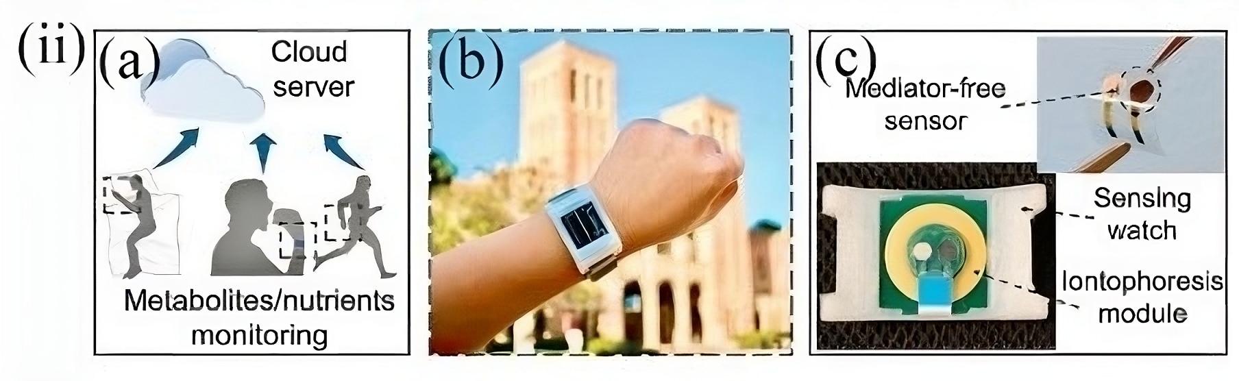 Credits- "Wearable non-invasive glucose sensors based on metallic nanomaterials"- ScienceDirect