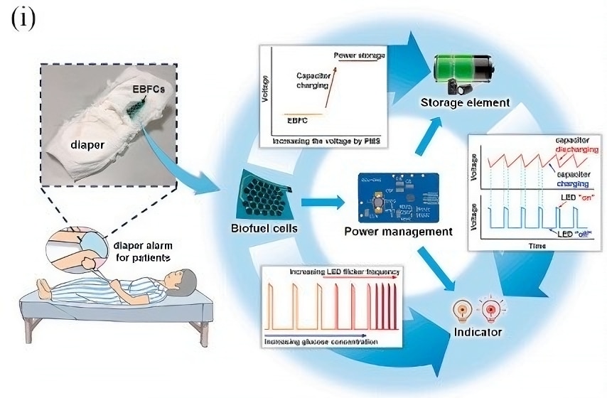Credits- "Wearable non-invasive glucose sensors based on metallic nanomaterials"- ScienceDirect