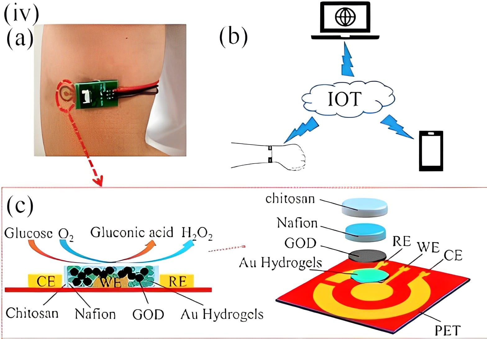 Credits- "Wearable non-invasive glucose sensors based on metallic nanomaterials"- ScienceDirect