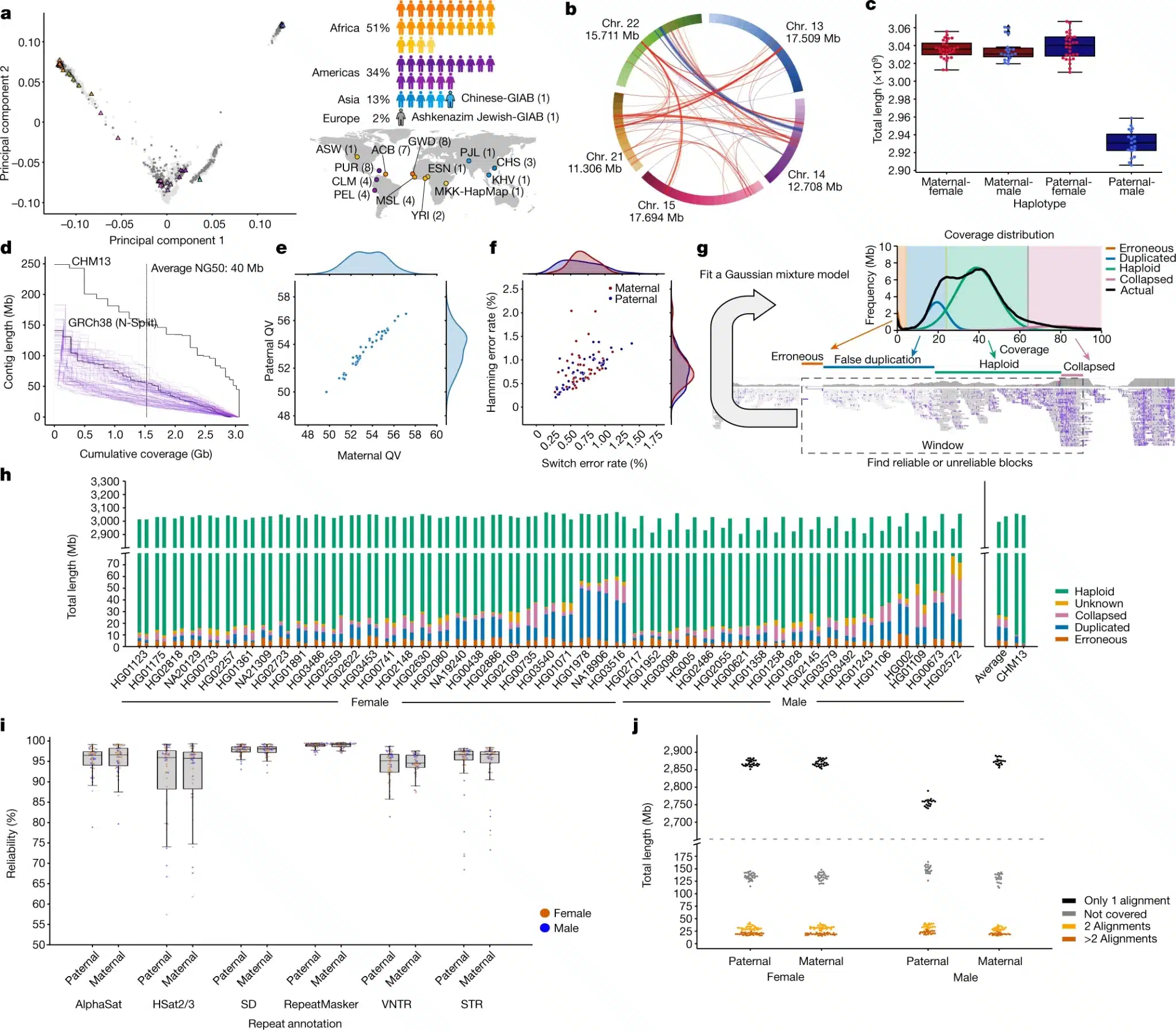 Presentazione di 47 assemblaggi diploidi del genoma umano diversi accurati e quasi completi - Credits: Nature