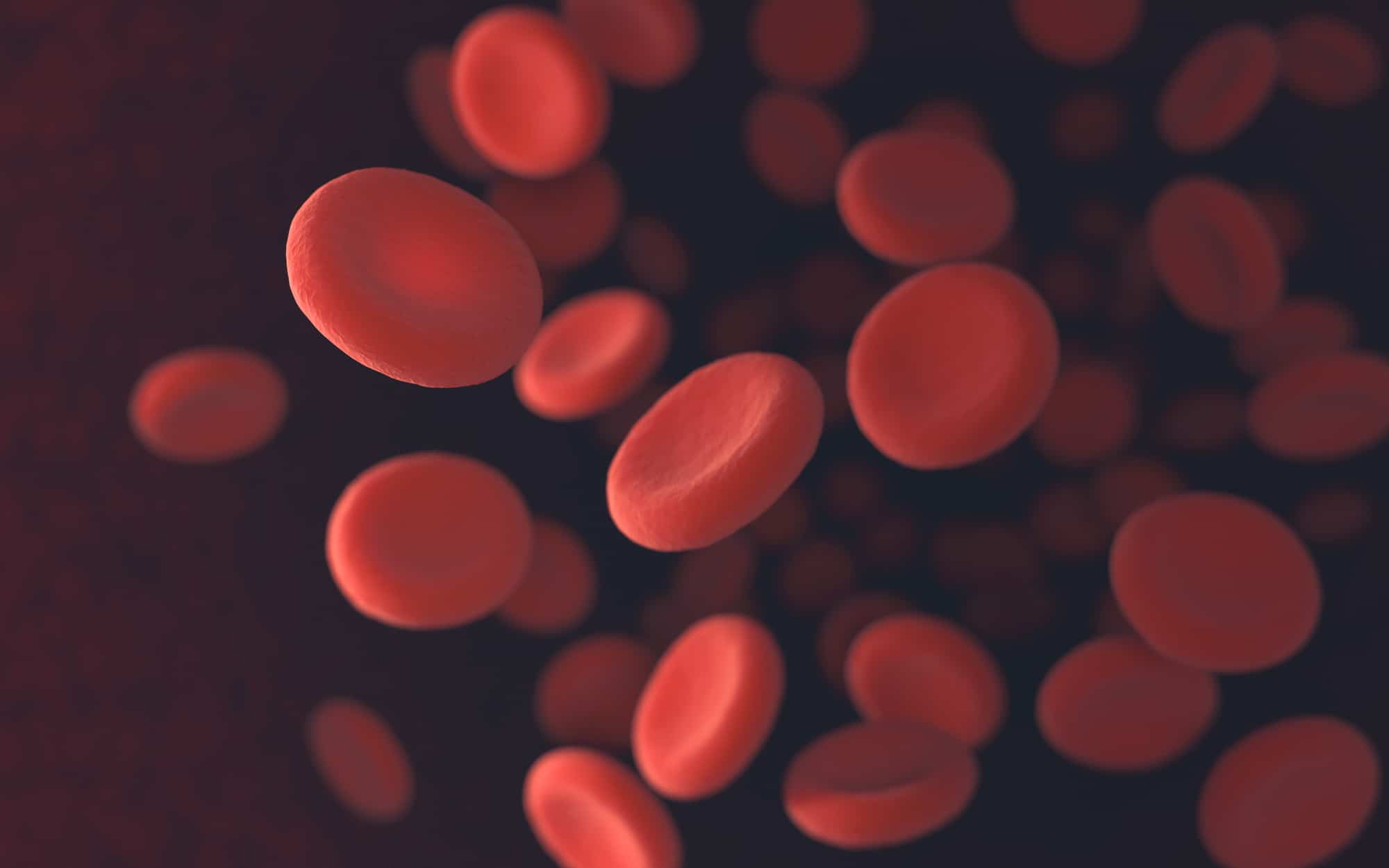 Favismo: cos’è, sintomi, cibi e farmaci da evitare