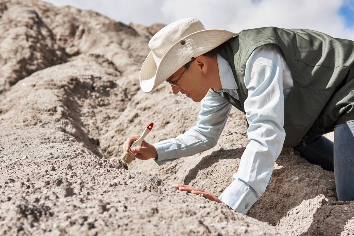 William Buckland ed il suo comportamento stravagante - man paleontologist or archaeologist cleans the find with a brush in the desert