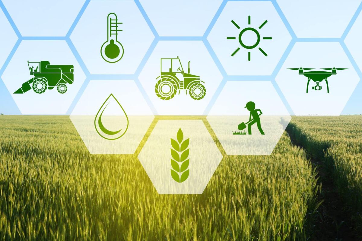 Agricoltura 4.0 e Internet of Things: le tecnologie per coltivazioni sostenibili - 