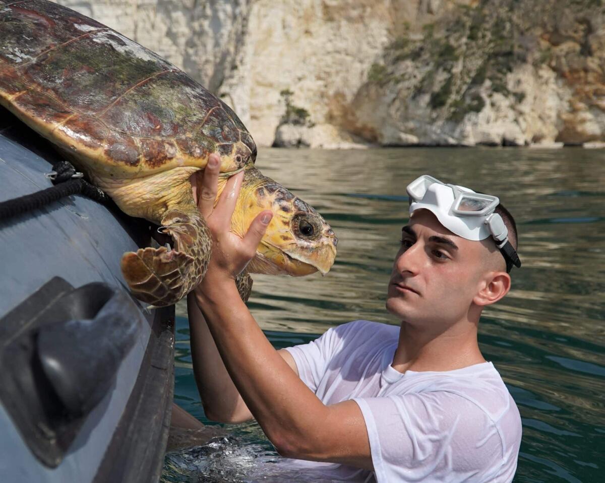 Sebastian Colnaghi ambasciatore di "Tartalove" per la tutela delle tartarughe marine - 