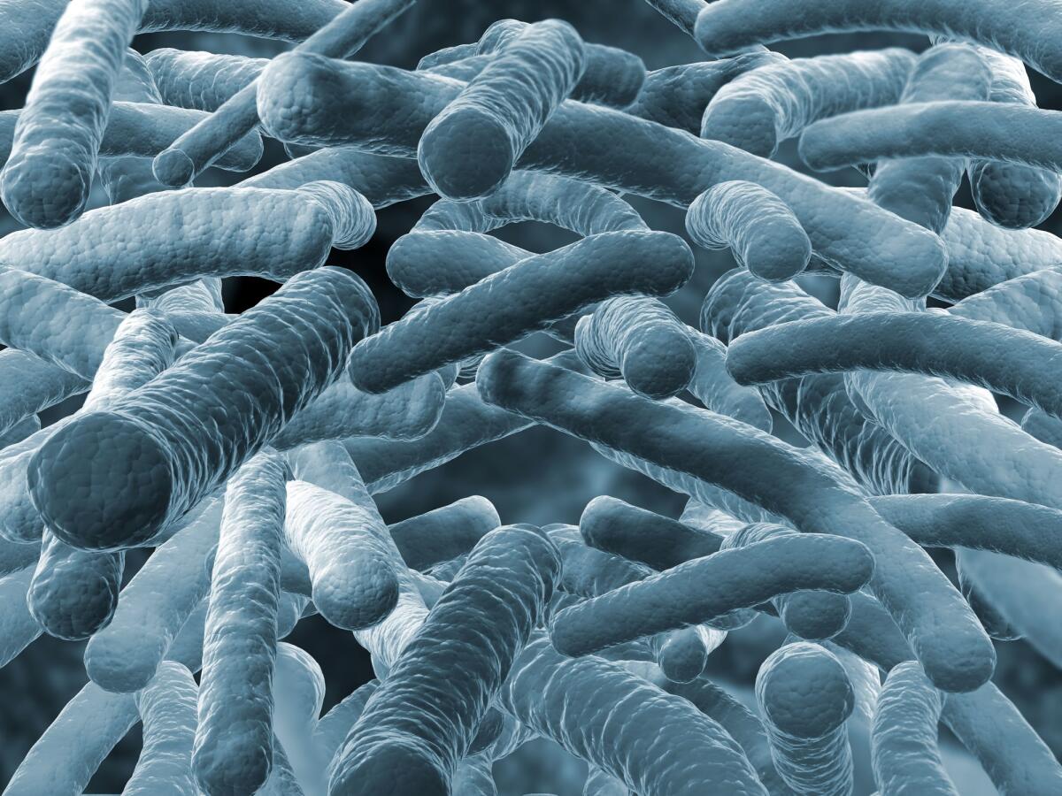Un batterio come nuova fonte di produzione dell'idrogeno - Viruses on blurred background.