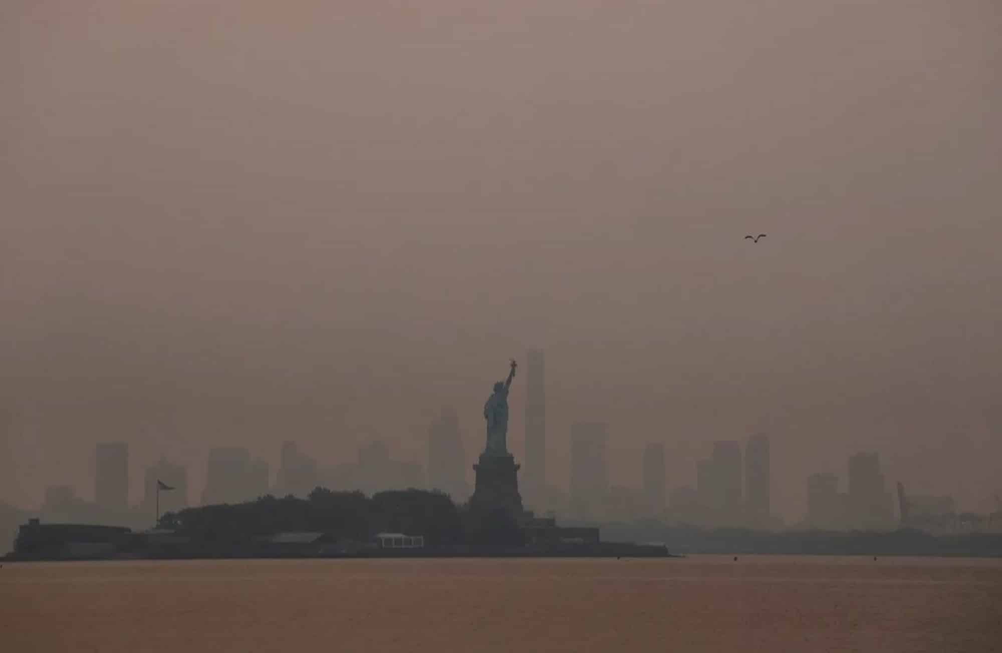 new york