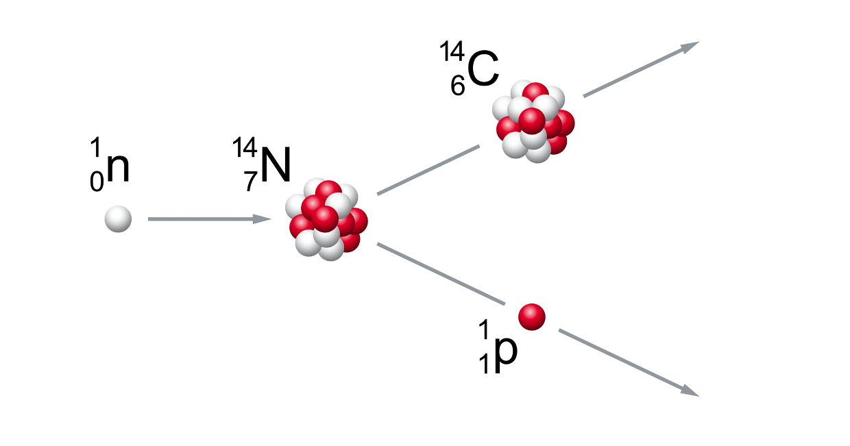 Datazione carbonio-14