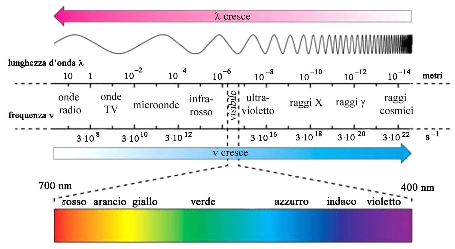 Varie tipologie di lunghezza d'onda - Credits: Medicina online