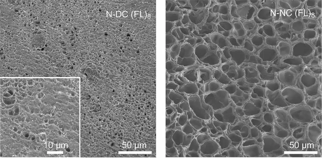 Fotografie di imaging a microscopia elettronica a scansione degli hydrogel N-DC e N-NC (FL)8 - Credits: Nature