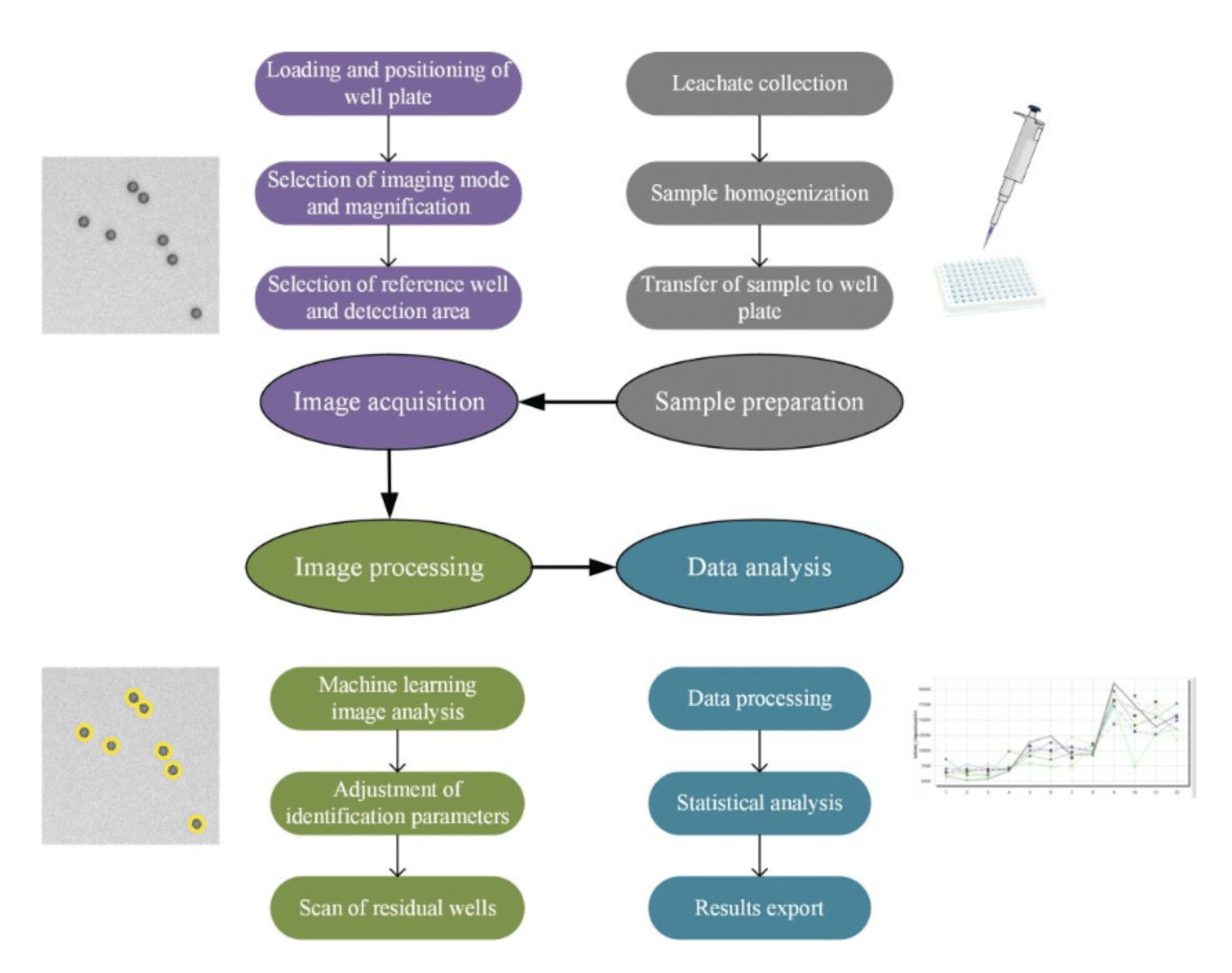Il conteggio delle microplastiche è principalmente suddiviso in 4 fasi: preparazione del campione, acquisizione delle immagini, elaborazione delle immagini e analisi dei dati - Credits: Environmental Science & Technology