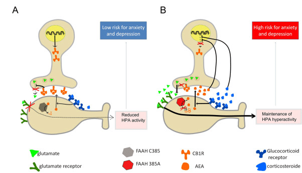 Credits: sciencedirect.com