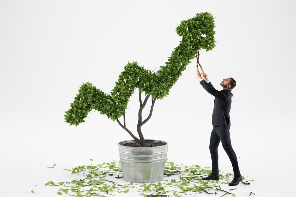 investimenti green