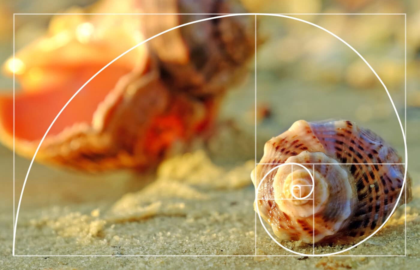 numeri magici