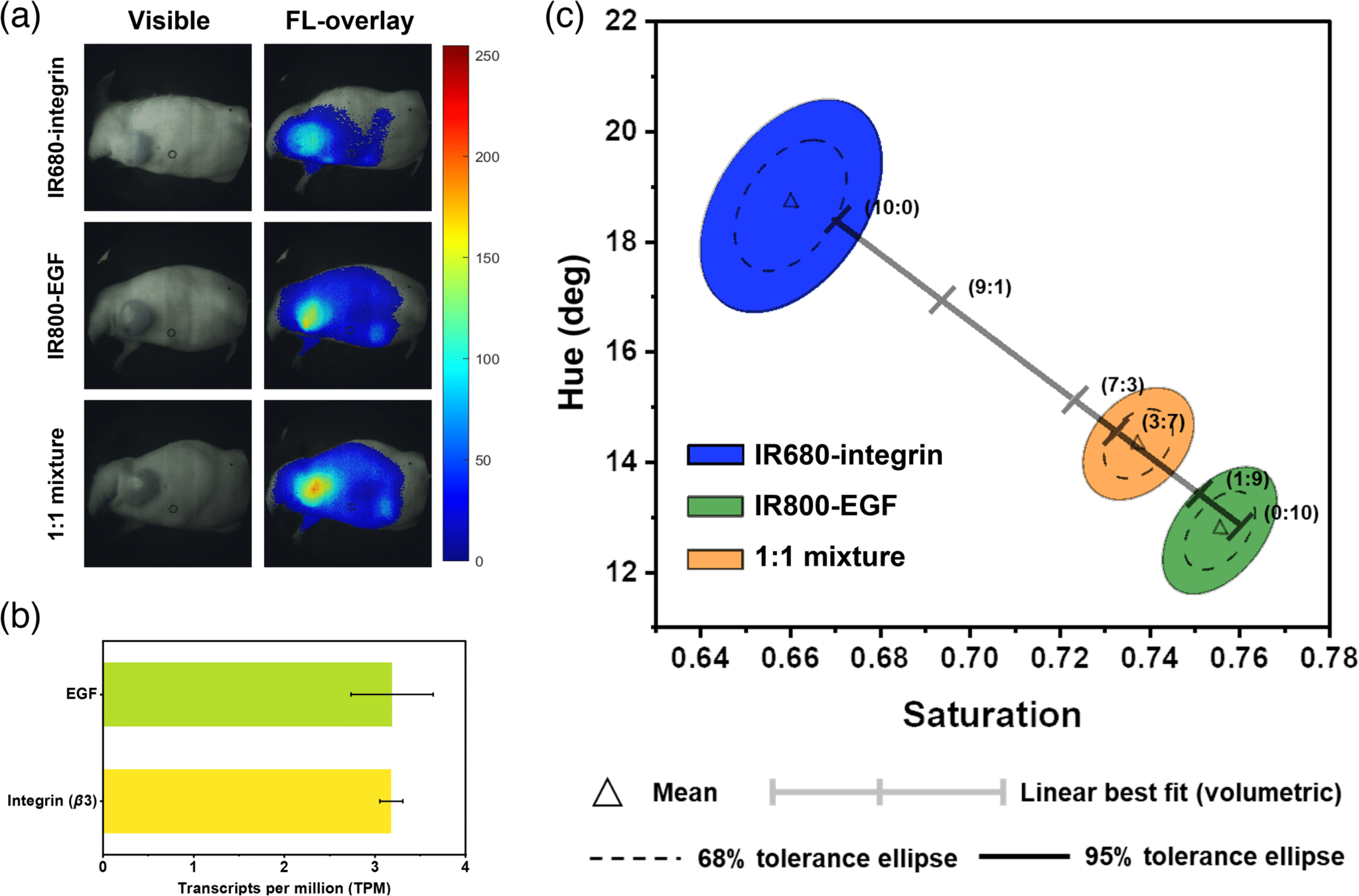 Utilizzo in vivo del nuovo endoscopio rigido per la chirurgia guidata da fluorescenza - Credits: Journal of Biomedical Optics