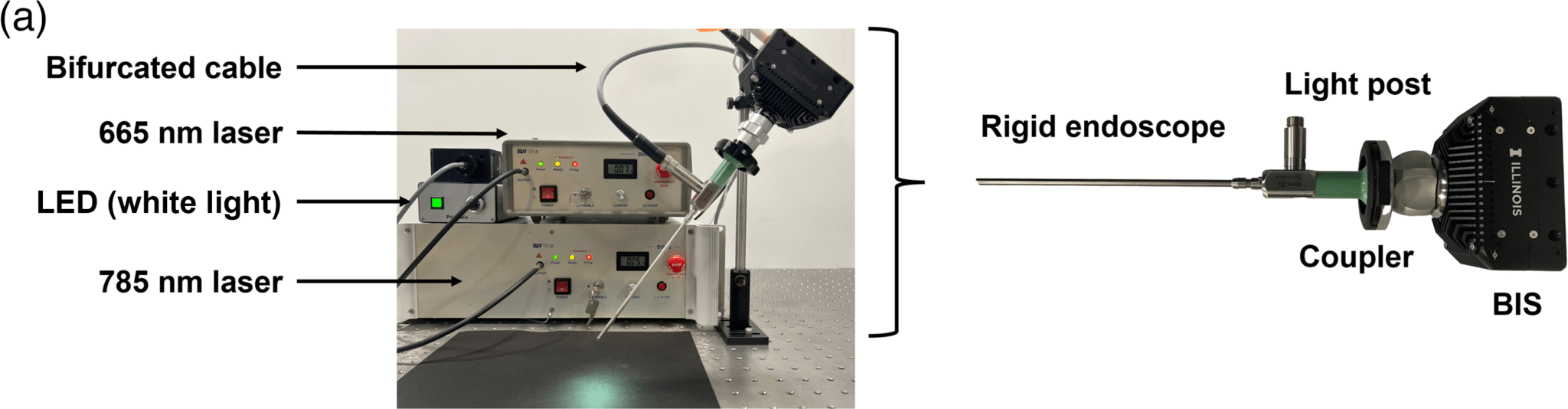 Il sistema è composto da un endoscopio rigido progettato su misura, un fascio di illuminazione in fibra ottica, un laser a 665 nm, un laser a 785 nm e BIS - Credits: Journal of Biomedical Optics