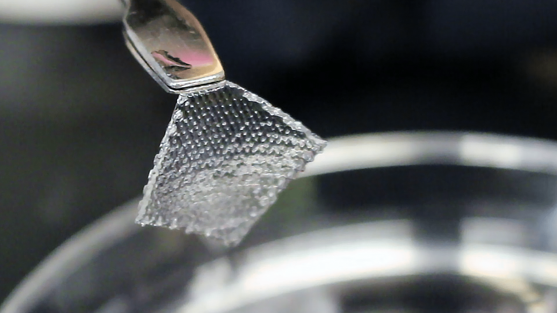 In foto un esempio di tessuto in hydrogel – Credits: envisionTEC
