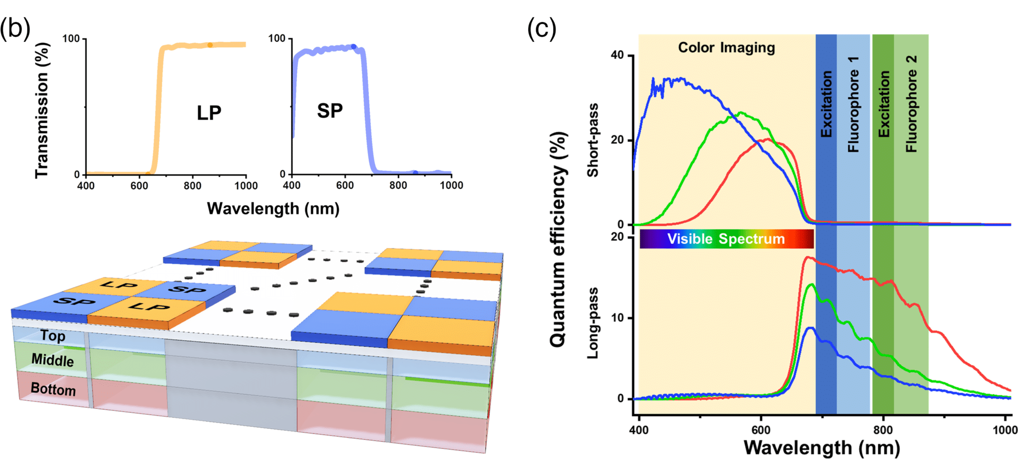 (b) Il sensore di imaging combina una serie di fotodiodi impilati verticalmente e filtri - Credits: Journal of Biomedical Optics
