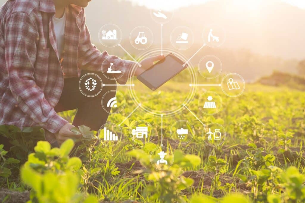 Gli agricoltori possono stimare la produzione e pianificare in modo consapevole la distribuzione delle colture.