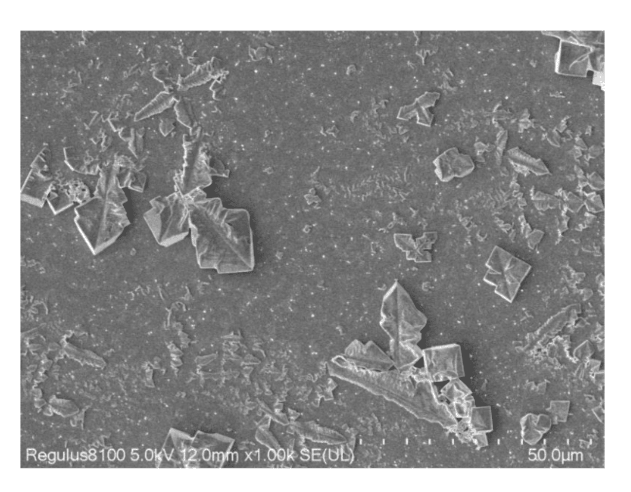 Morfologia superficiale dei grandi frammenti di microplastiche rilasciati da lenti a contatto dopo 900 ore di irrigazione di luce solare - Credits: Environmental Science & Technology