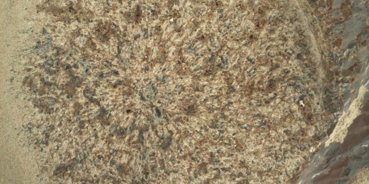 C'è vita su Marte? Scoperte le prime tracce di materia organica - 