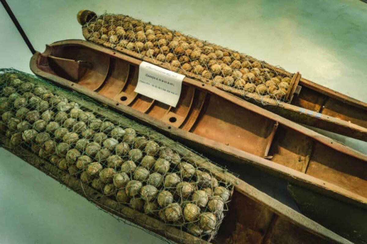 Bombe a grappolo: caratteristiche e  impatto umanitario - 