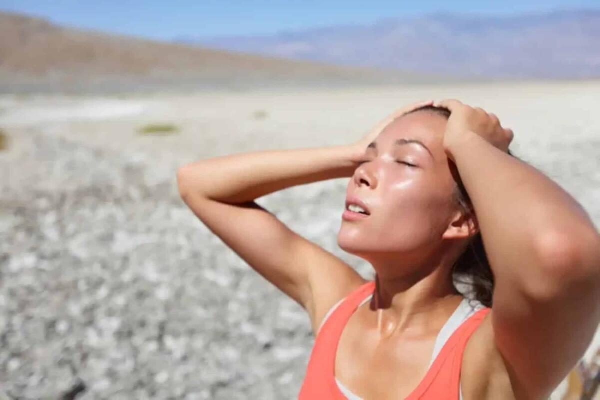 Clima, il 3 luglio è stato il giorno più caldo mai registrato nella storia - 