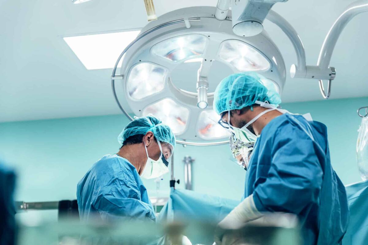 Effettuato con successo il primo trapianto di reni congelati nei topi - Team of Surgeons Operating.