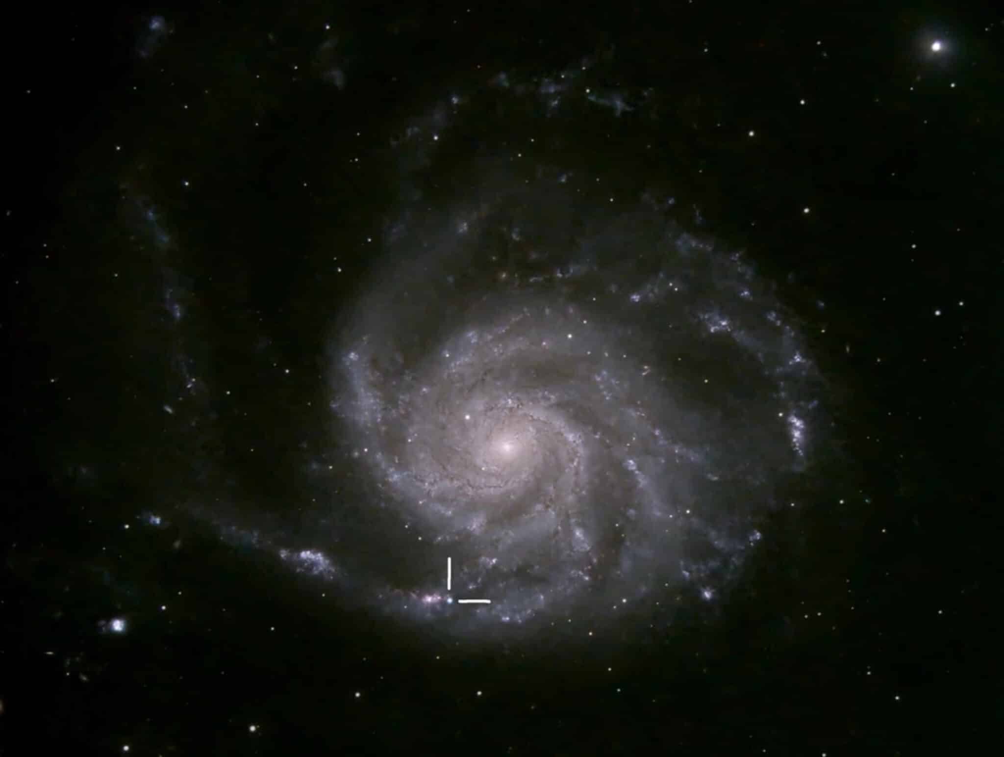 La galassia M101 con SN2023ixf, catturata da Jane Clark da Risca, Galles, 21 maggio 2023. Equipaggiamento: fotocamera ZWO ASI2600MC, SCT Celestron da 11 pollici, montatura CGX, riduttore focale f/6.3. Software: SharpCap 4.0, Siril 1.0.6, PixInsight, Gimp.