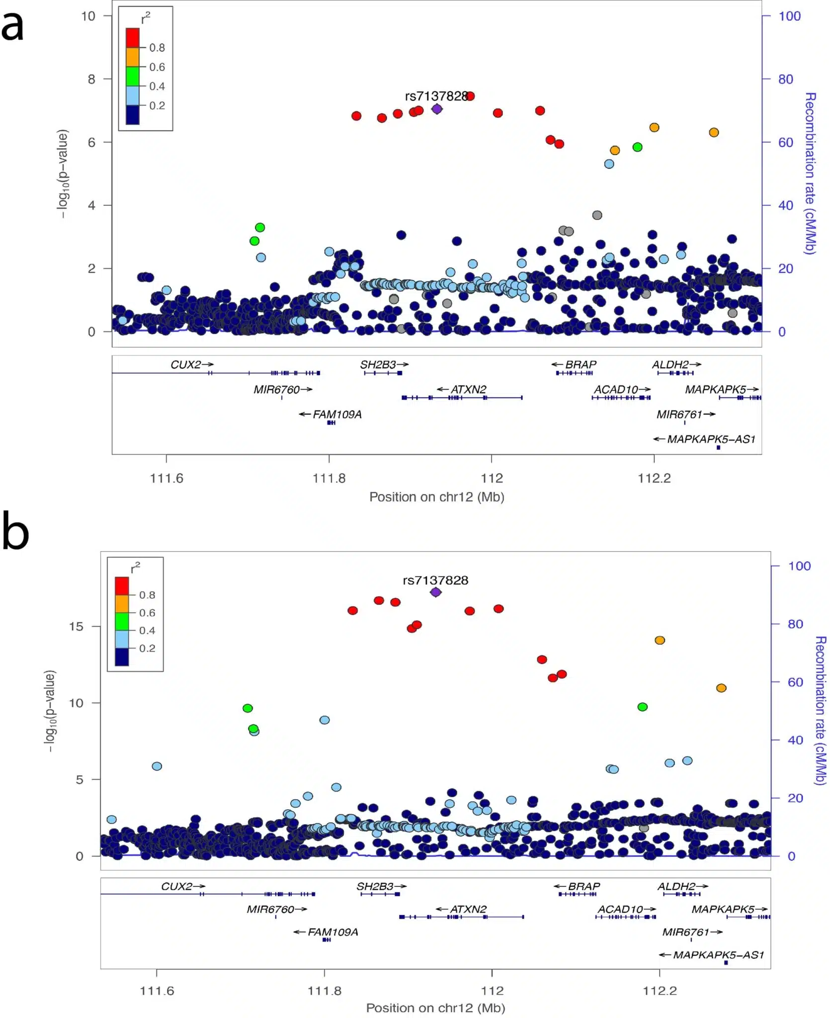 Geni rilevati durante lo studio e correlazione con le malattie autoimmuni, in figura è visibile il legame con il lupus - Credits: Nature genetics