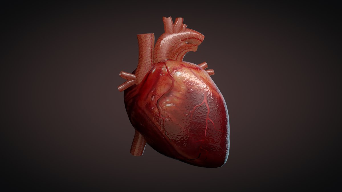 In figura l'immagine di un cuore.