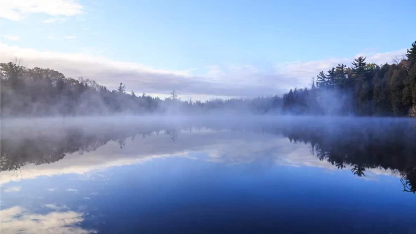 Credit: Conservation Halton