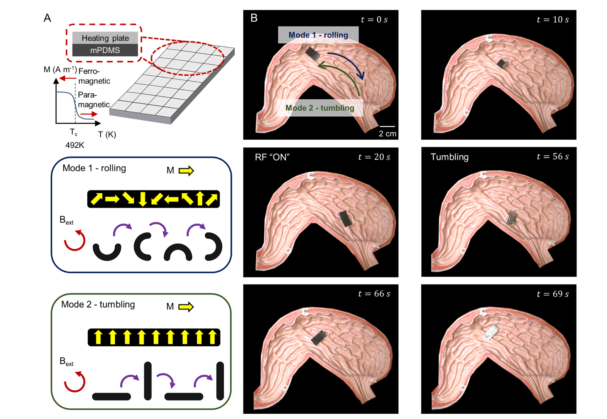Credits: Nature Pangolin-inspired untethered magnetic robot for on-demand biomedical heating applications
