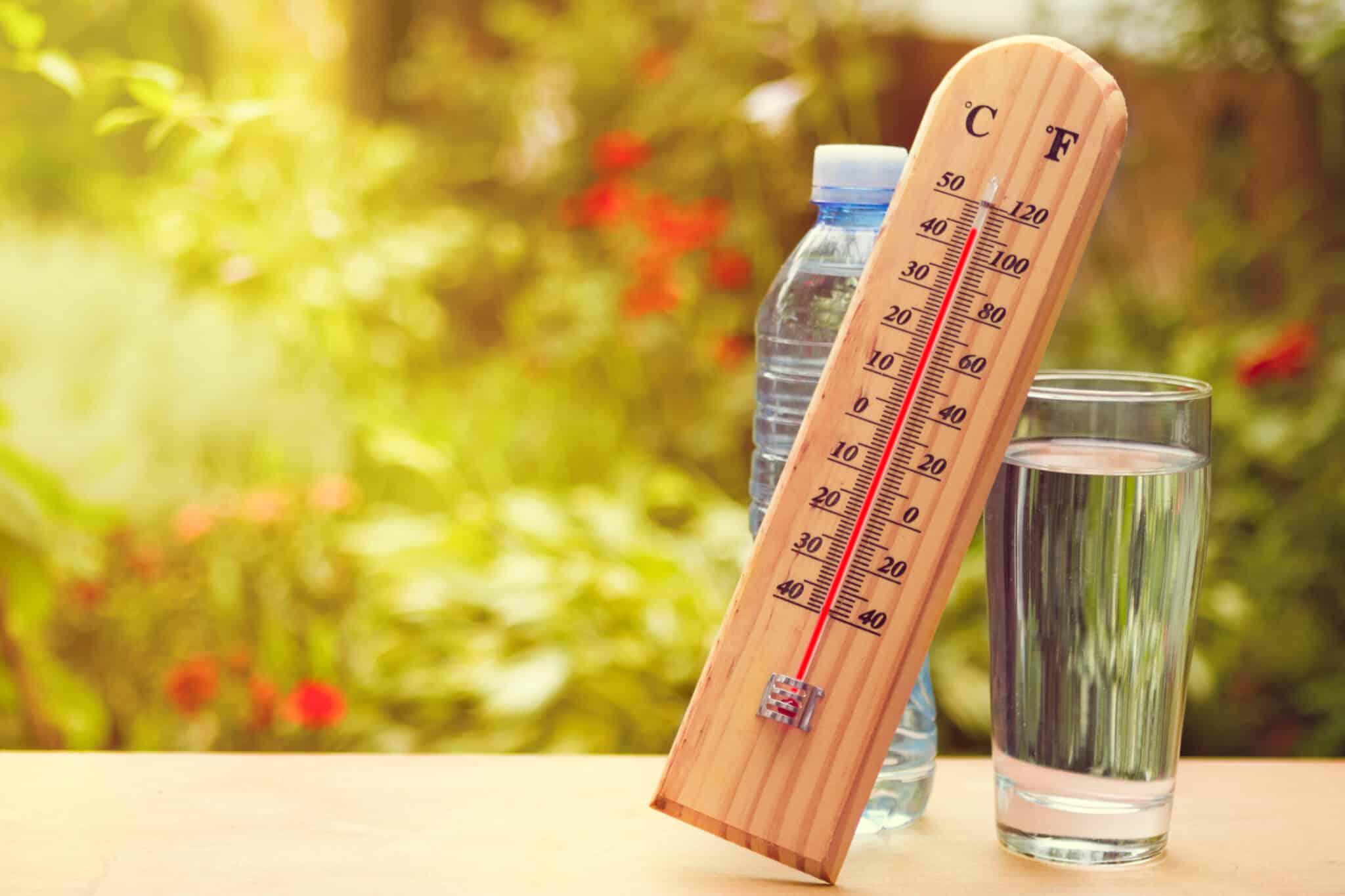 ondata di calore